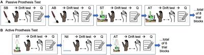 Mechanotactile Sensory Feedback Improves Embodiment of a Prosthetic Hand During Active Use